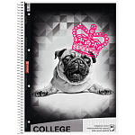 Тетрадь в клетку на пружине А4 Brunnen Колледж Cобака, микроперфорация, 70 гр/м2, 80 листов